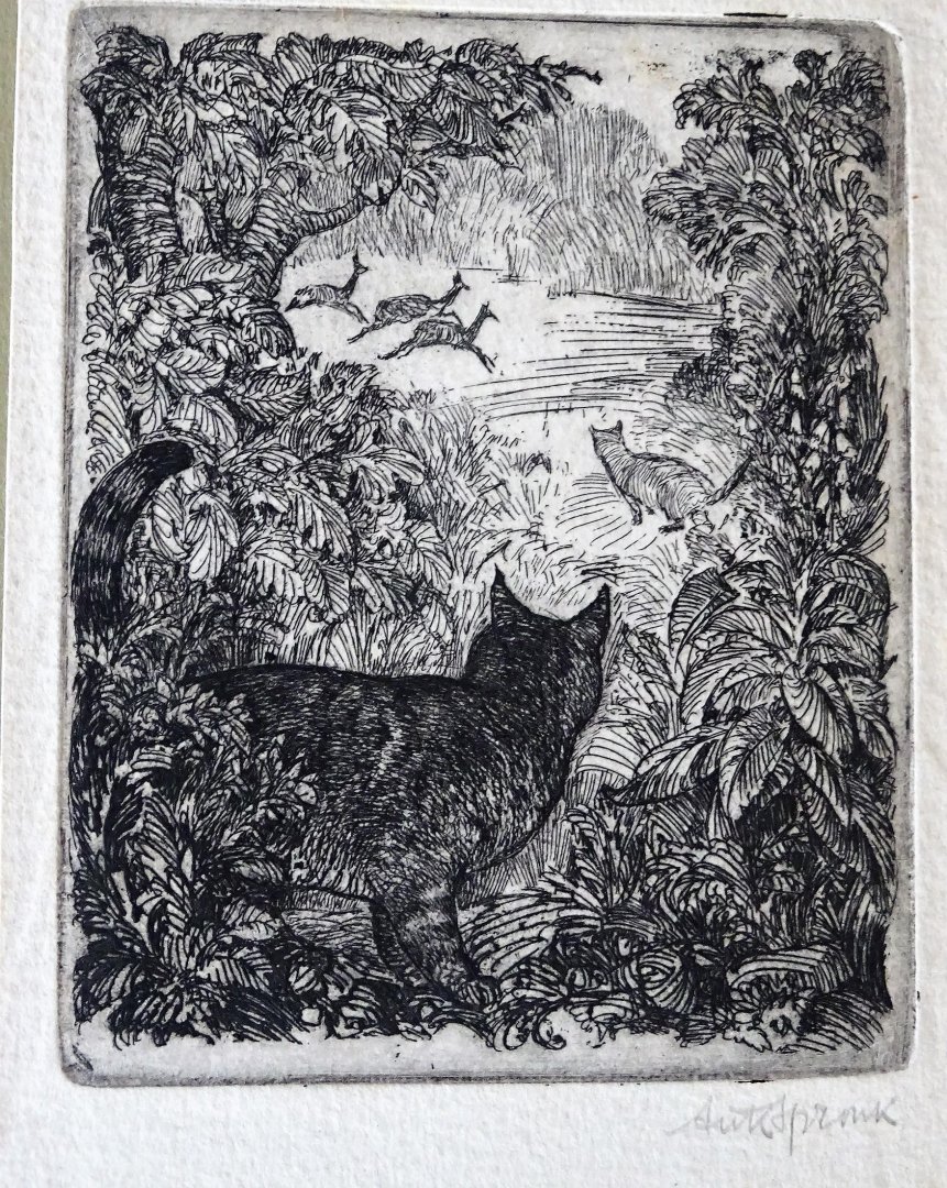 Spronk, Ank - Kattigheden van Micio en Titus