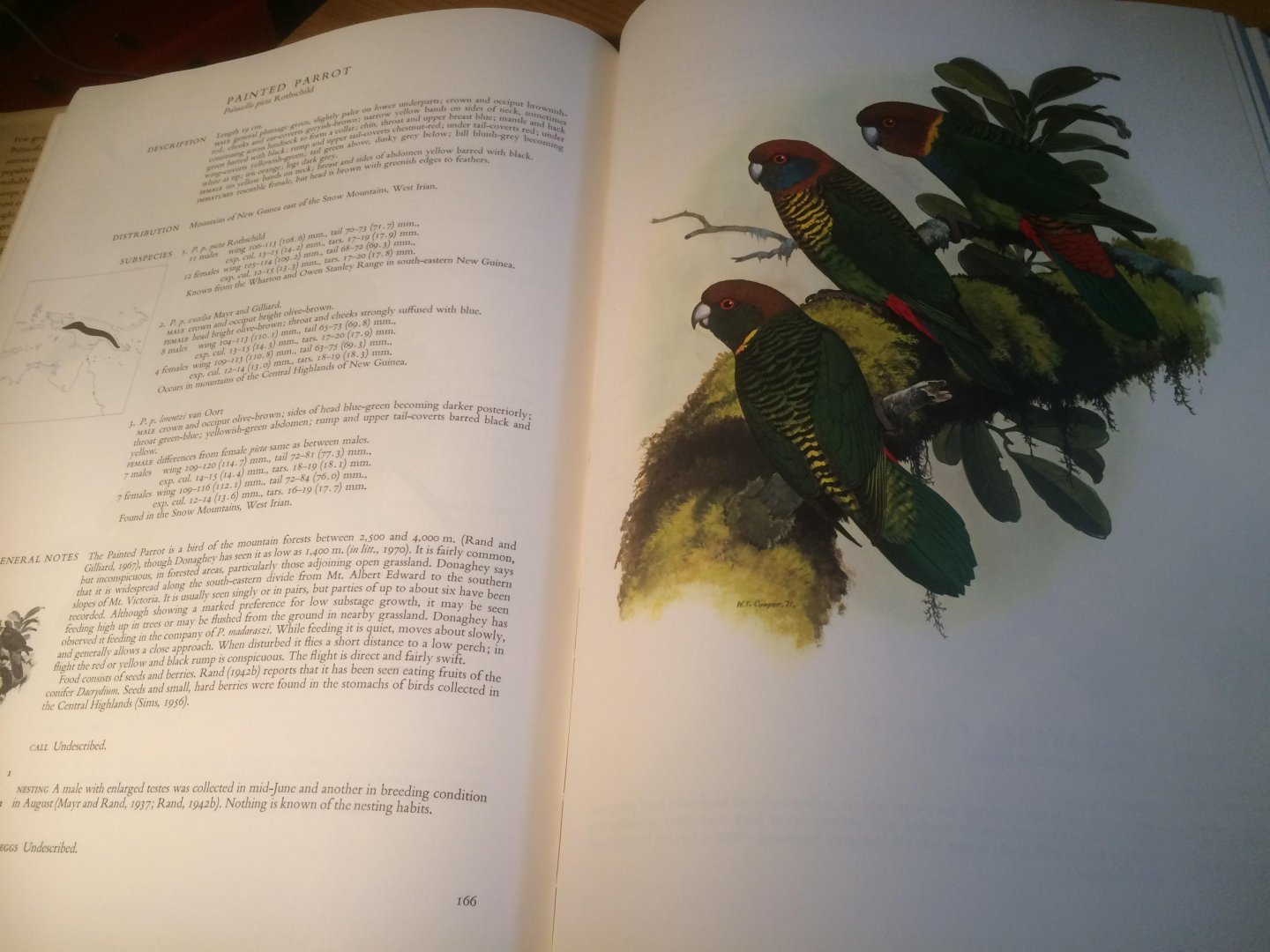 Forshaw, JM & WT Cooper - Parrots of the World - small folio ed