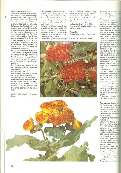 Breure-Scheffer.J.M  .. Oppotten en verpotten, zowordenbollen opgepot, - De verzorging van kamerplanten  .. alles over doe-het-zelf  .. Plantenschalen en plantenbakken, een groene scheidingswand,hangmandjes, en een groene scheidingswand