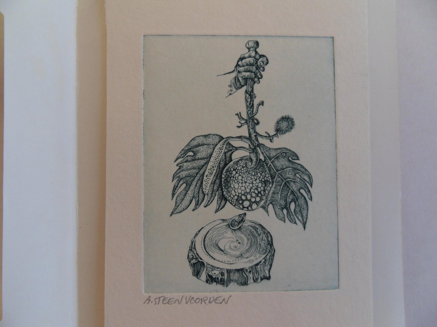 Steenvoorden, Ab. [ 1933 - 2010 ]. [ GESIGNEERD ]. - Zonder titel [ hand die neerhangende tak vasthoudt ].