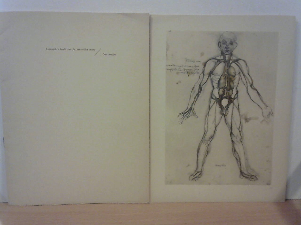 Dankmeijer, J. - Leonardo's beeld van de natuurlijke mens