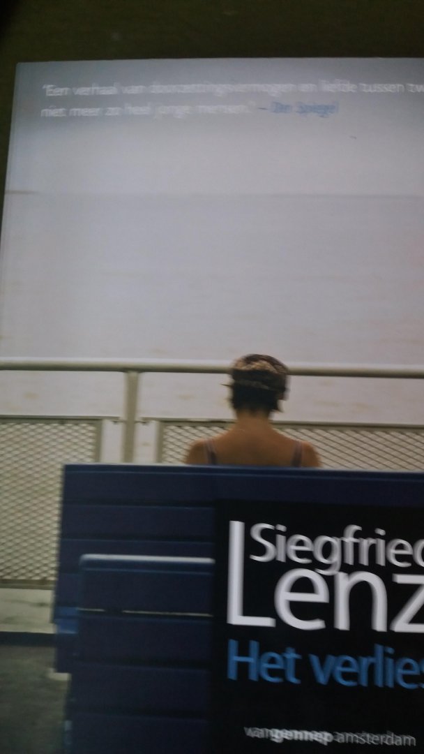Lenz, Siegfried - Het verlies