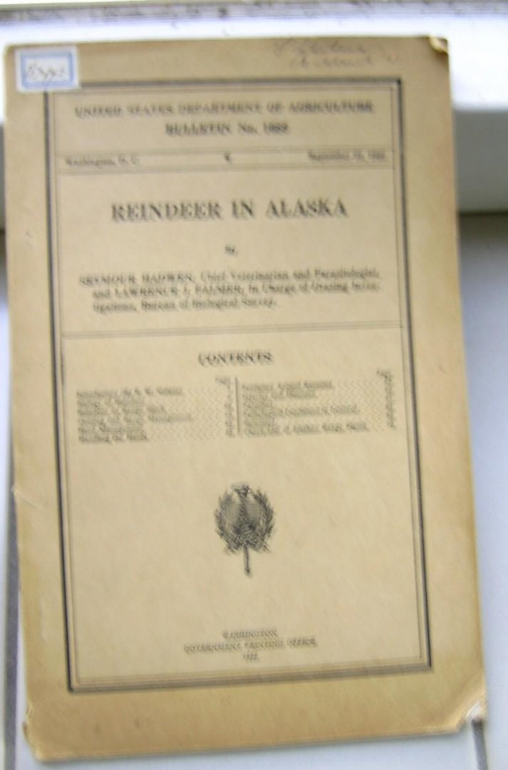 redactie - Reindeer in Alaska