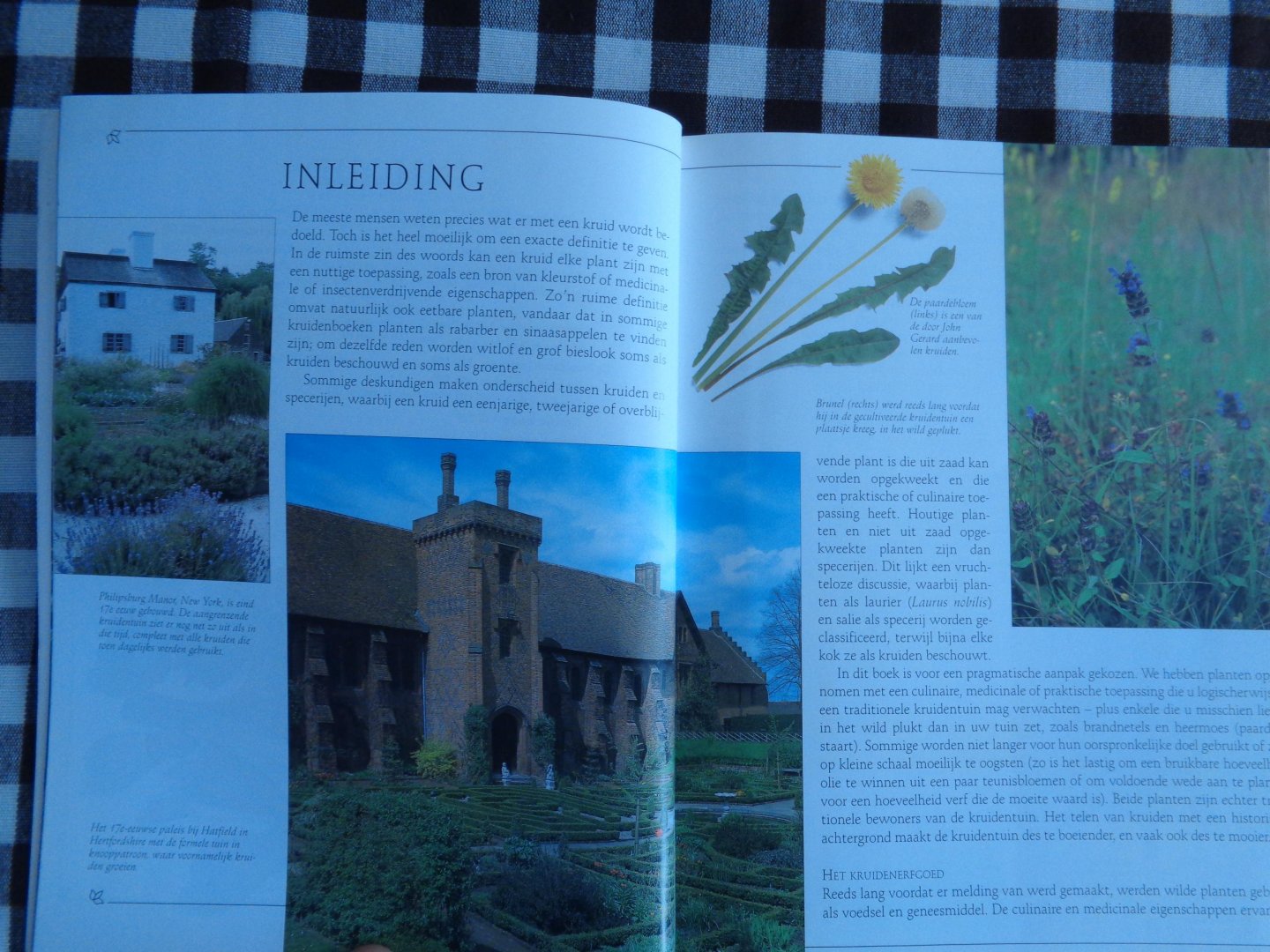 peter mchoy-pamela westland - De Kruidenbijbel