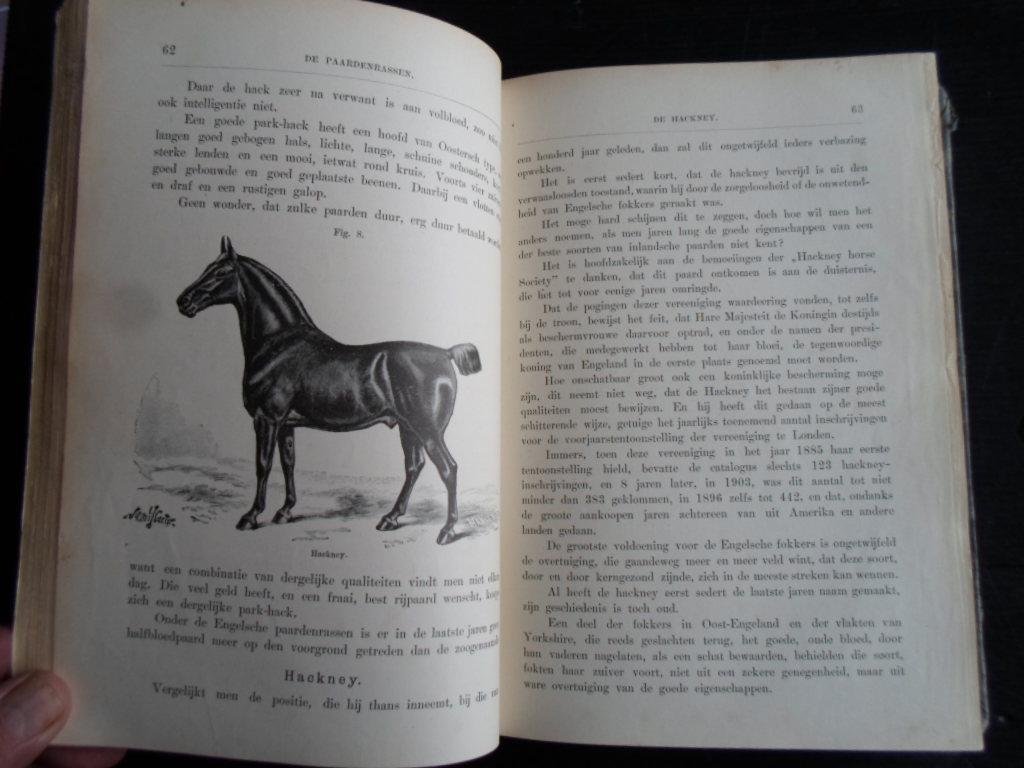Quadekker, E.A.L. - Het Paardenboek, deel 2, Een geïllustreerd handboek voor iederen bezitter en liefhebber van paarden