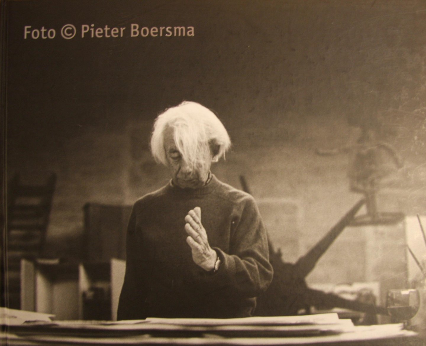 Boersma, P. (photos) - Foto © Pieter Boersma
