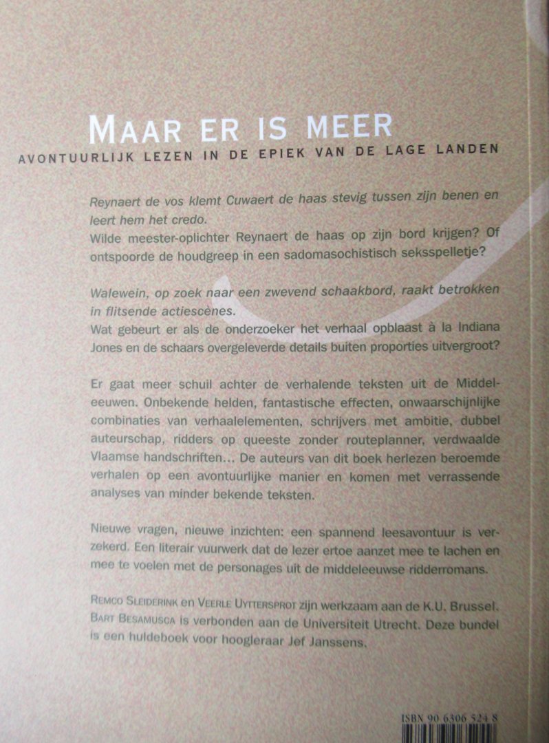 Sleiderink, Remco - Uyttersprot, Veerle - Besamusca, Bart (red.) - Maar er is meer