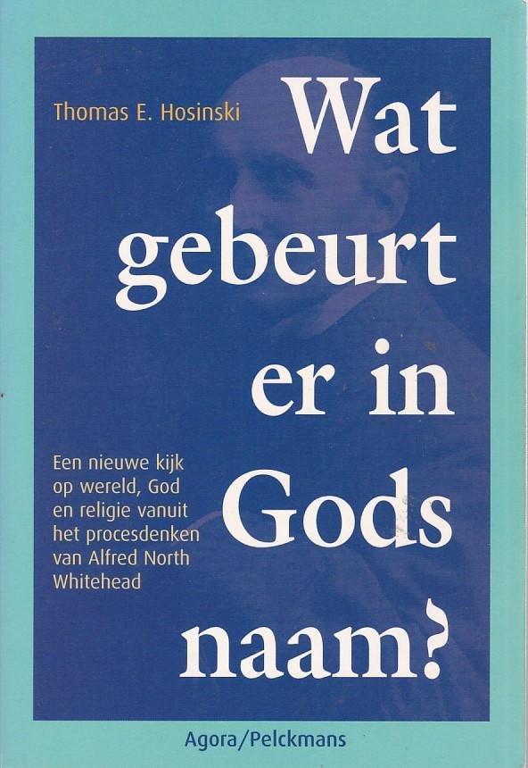 Thomas E. Hosinski - Wat gebeurt er in Gods naam? Een nieuwe kijk op wereld, God en religie vanuit het procesdenken van Alfred North Whitehead
