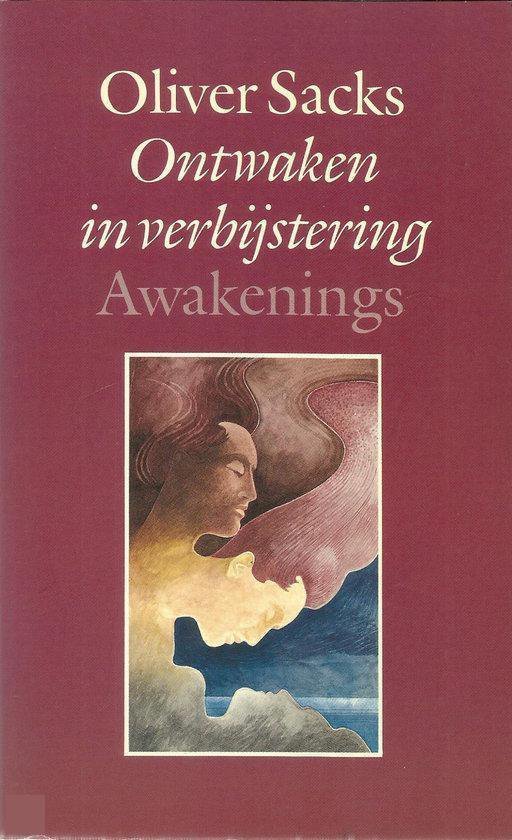 Ontwaken in verbystering