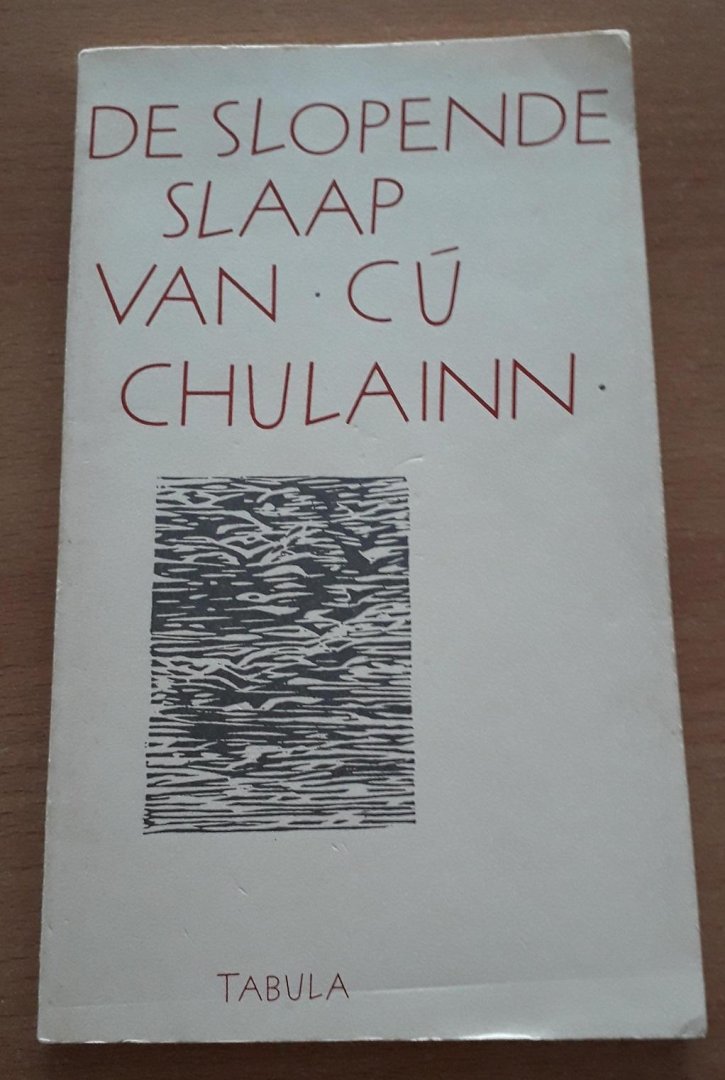 Draak, Maartje (voorwoord) & Marianne Harbers (vertaling) - De slopende slaap van Cú Chulainn