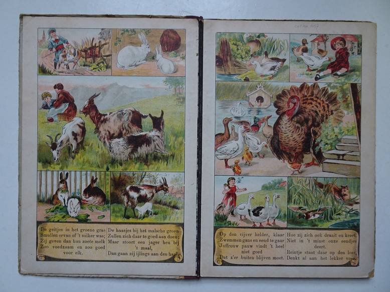 N.n.. - Uit het Dierenrijk.