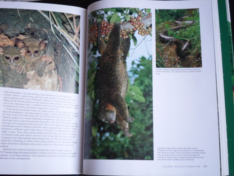 Sharp, Ilsa & Alain Compost - Green Indonesia, Tropical Forest Encounters