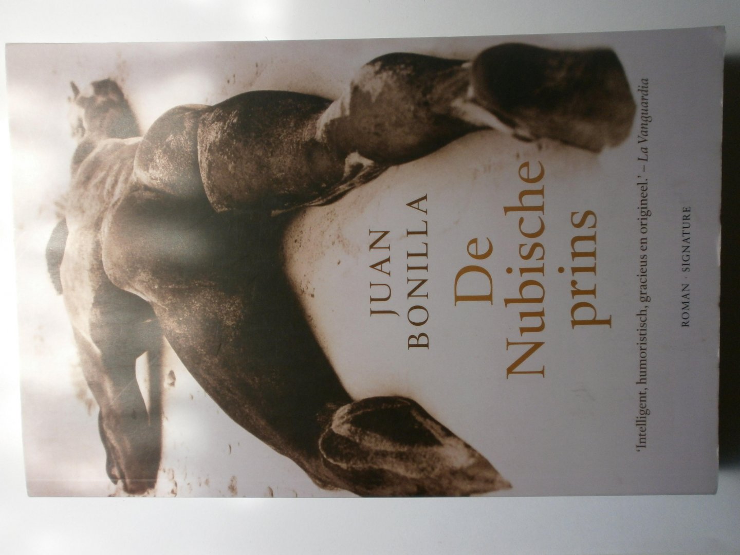 Bonilla, Juan - De Nubische prins