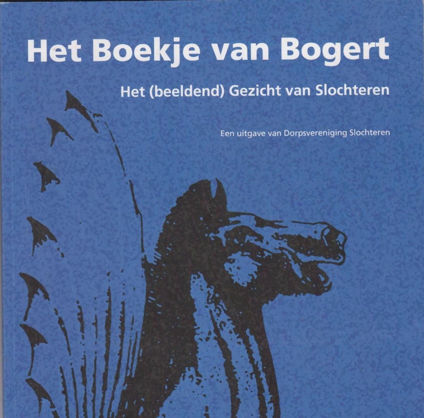 Arnold van Calker, Sietse Boiten, Herman Sandman - Het boekje van Bogert: het (beeldend) gezicht van Slochteren