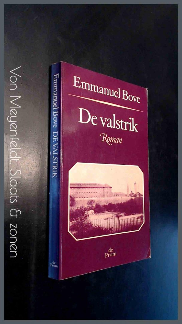 Bove, Emmanuel - De valstrik