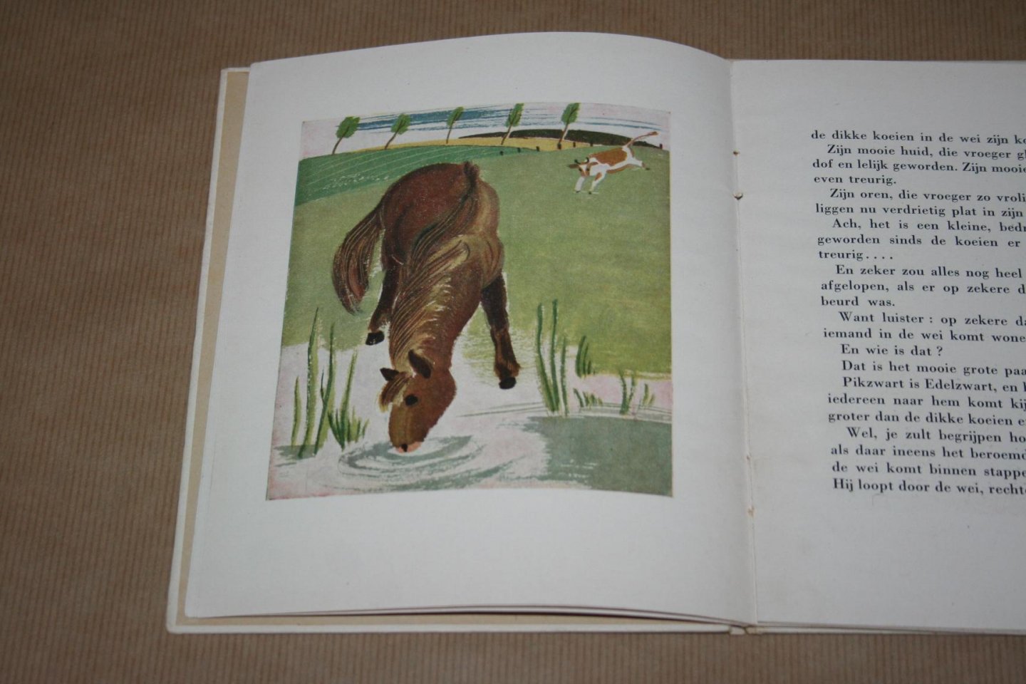 Josephine Willems - Bambino en Edelzwart