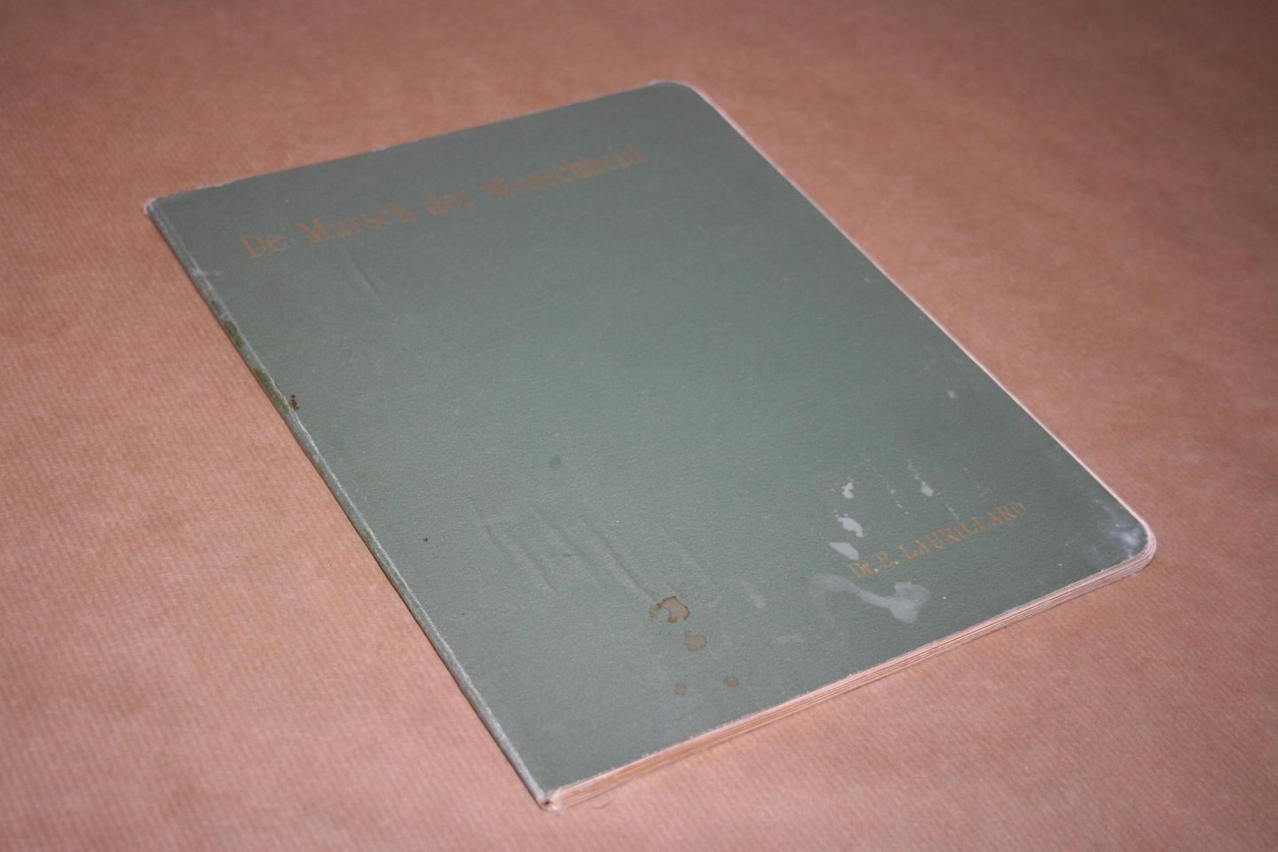 Dr. E. Laurillard - De Marsch der Menschheid