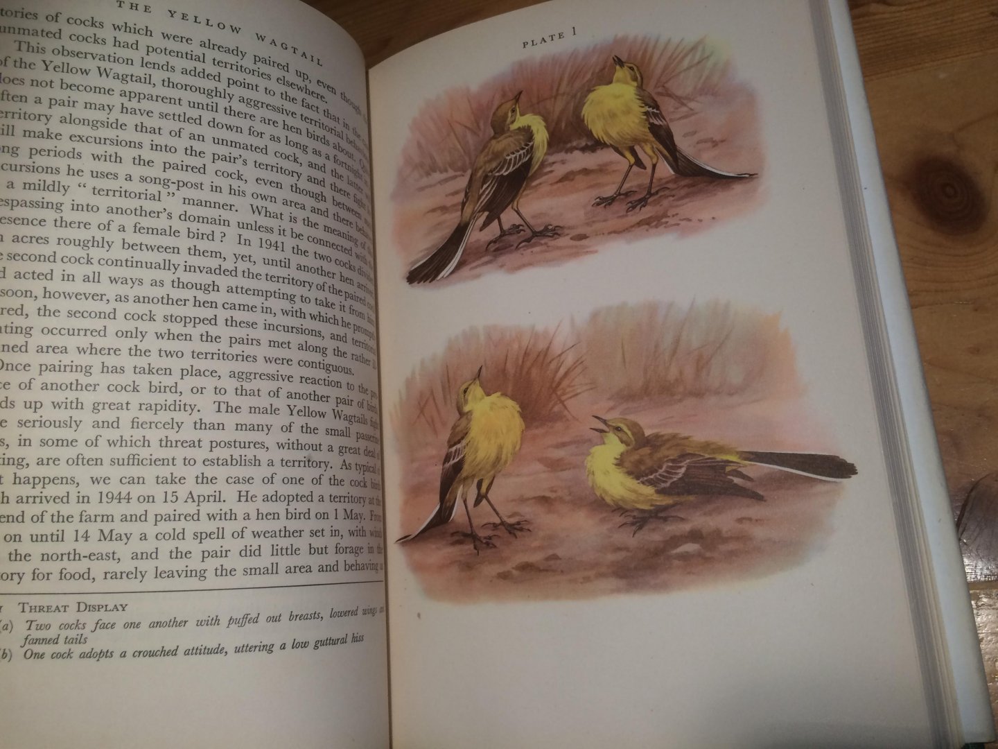 Smith, Stuart - The Yellow Wagtail, New Naturalist Monograph 4