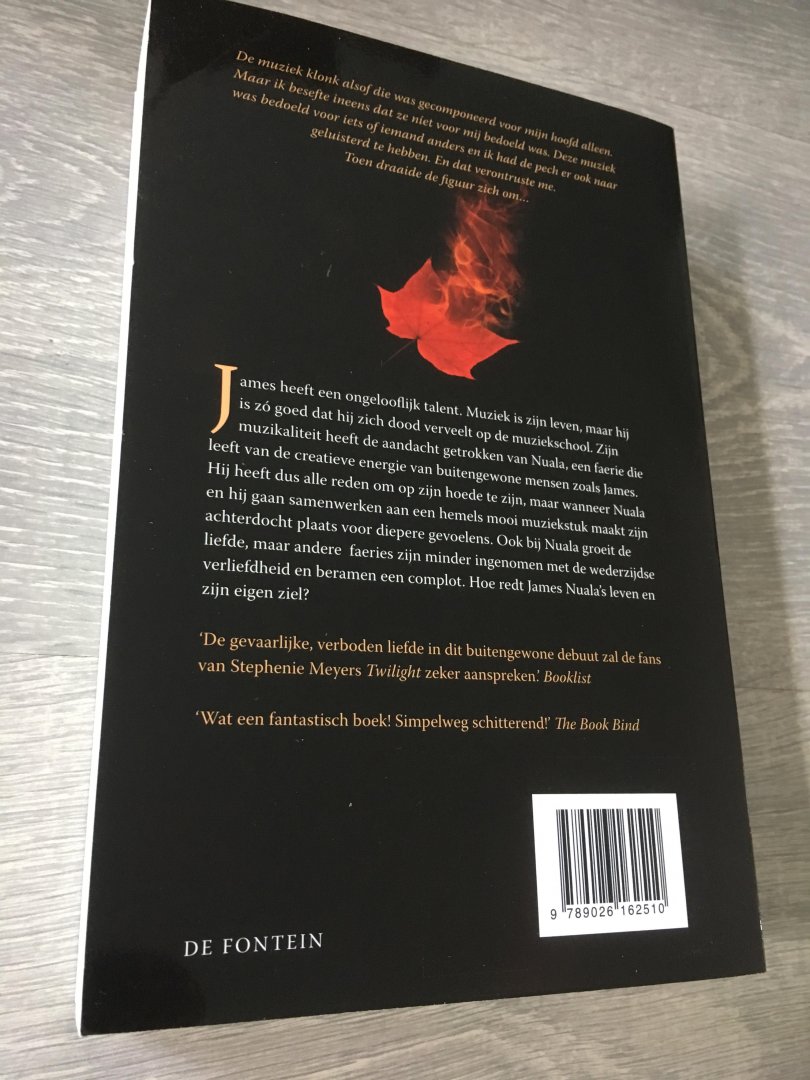 Stiefvater, Maggie, Eikelenboom, Kris - Heartbeat 2 / een ijzingwekkende liefde