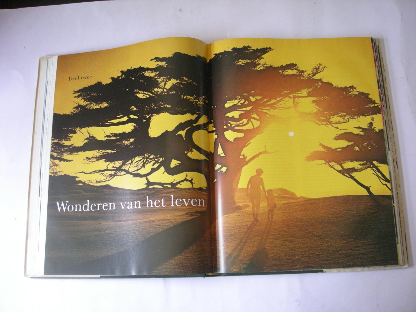 red. - De Wondere Wereld der Natuur (85 artikelen en beeldverhalen)