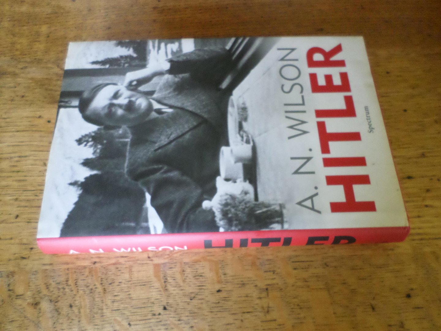 Wilson, A.N. - Hitler