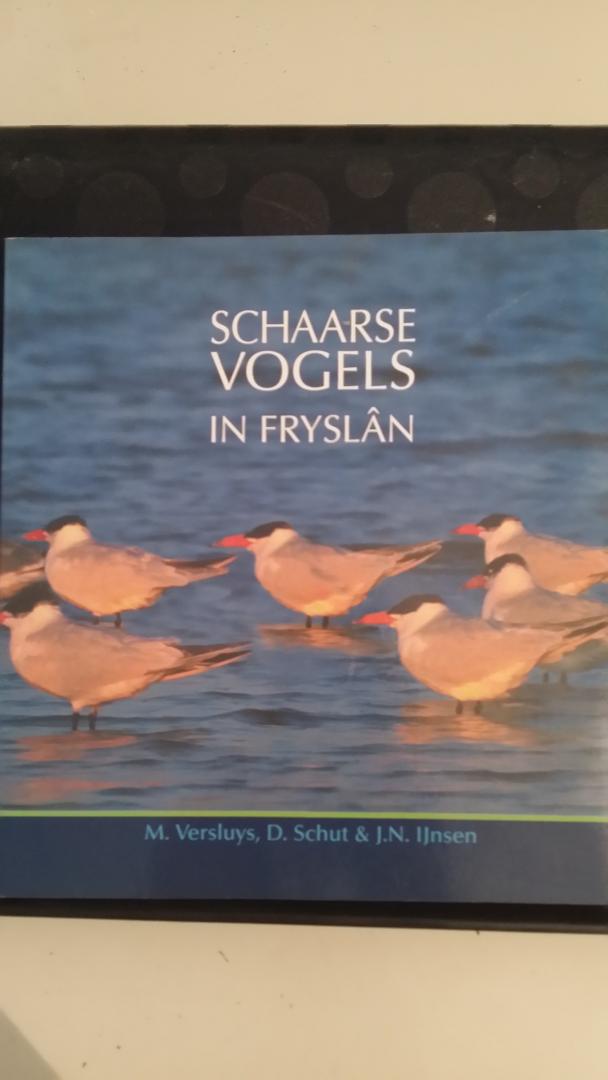 Versluys, M. - Schaarse vogels in Fryslan