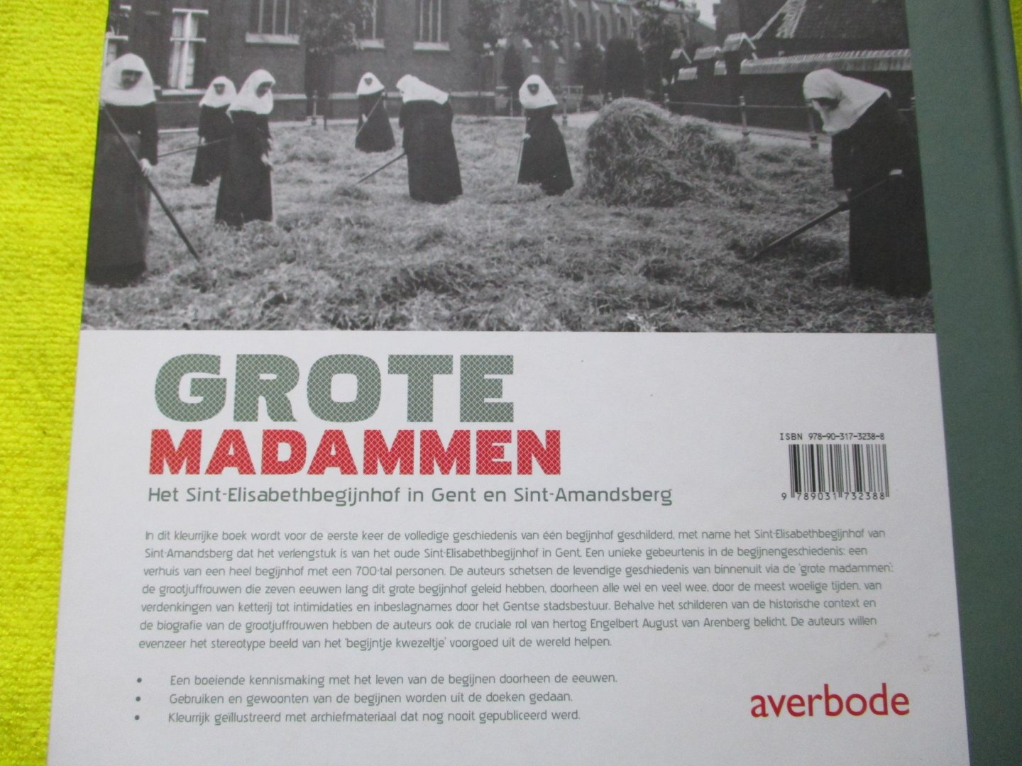 Triest, Monika,  Guido Van Poucke & Cecile Vanooteghem. - Grote madammen. Het Sint-Elisabethbegijnhof in Gent en Sint-Amandsberg.