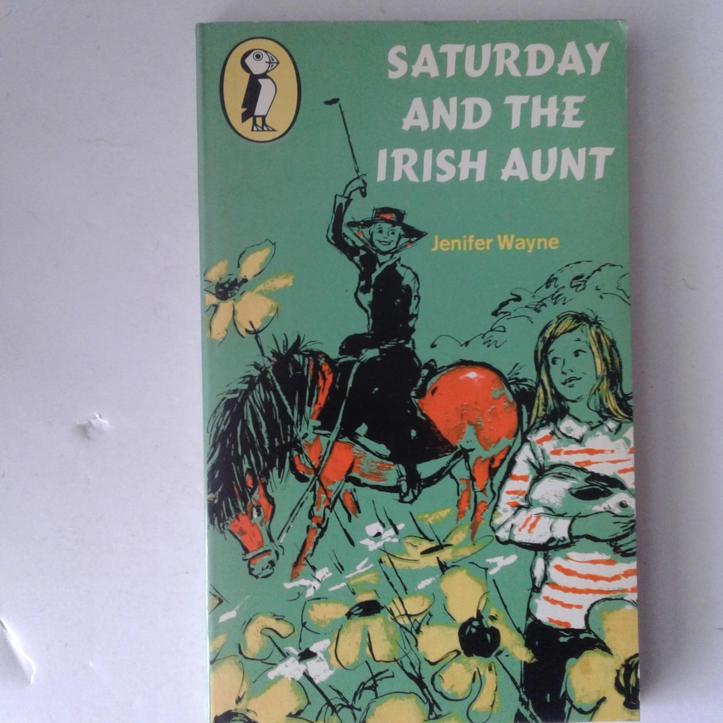 Waynr, Jenifer - Saturday and the Irish Aunt