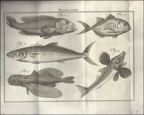Linnaeus - Natuurlyke historie of uitvoerige beschryving der dieren, planten en mineraalen. Eerste deel, agtste stuk. Vervolg der Visschen.  Linnaeus