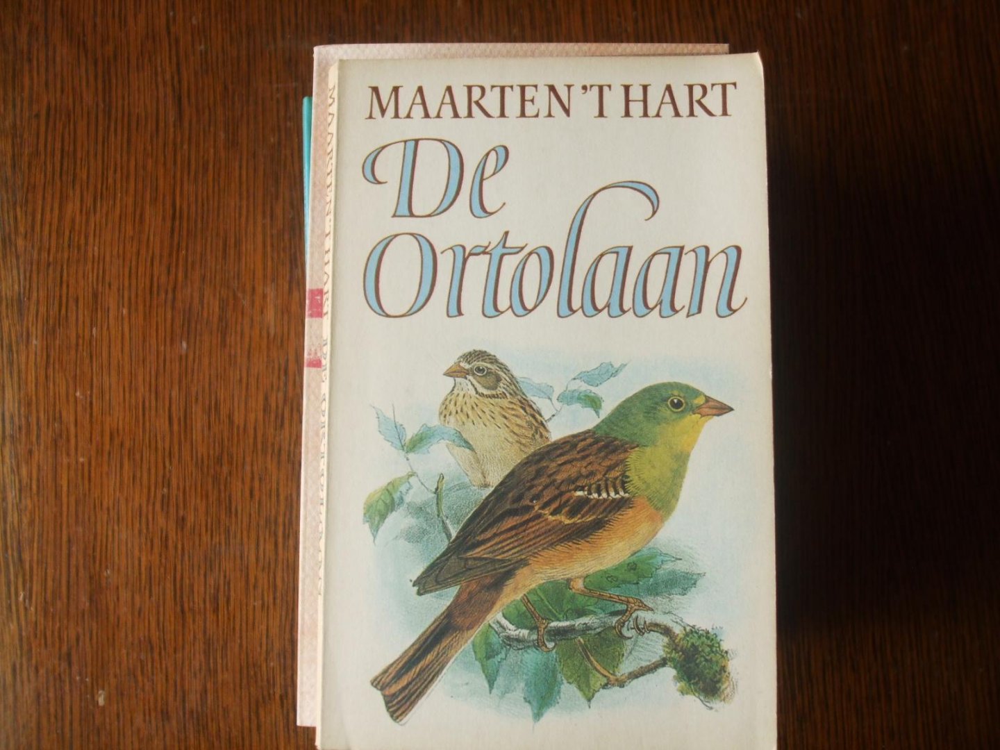 Hart - Ortolaan / druk 1