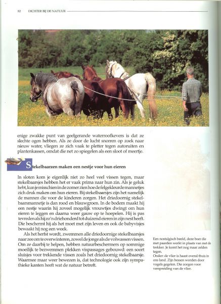 Ewijk van Tom .. Lucienne van Ek en Toon Fey veel mooie tekeningen en foto 's - Dichter bij de natuur  .. Waterlandschappen .. Land en rivieren .. plassen, meren en fluisterend riet, Weiden en slootjes .. geheimen van venen en onland en het nieuwe land