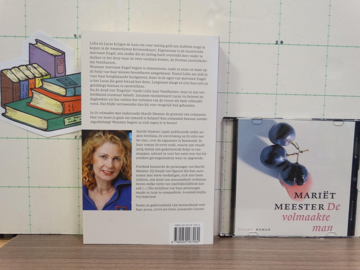 Meester, Mariët - De volmaakte man