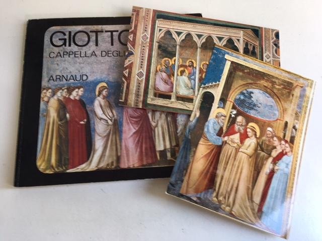 Salvini, Roberto - Giotto Cappella degli Scrovegni (Taal: Italiaans/Engels/Frans/Duits)