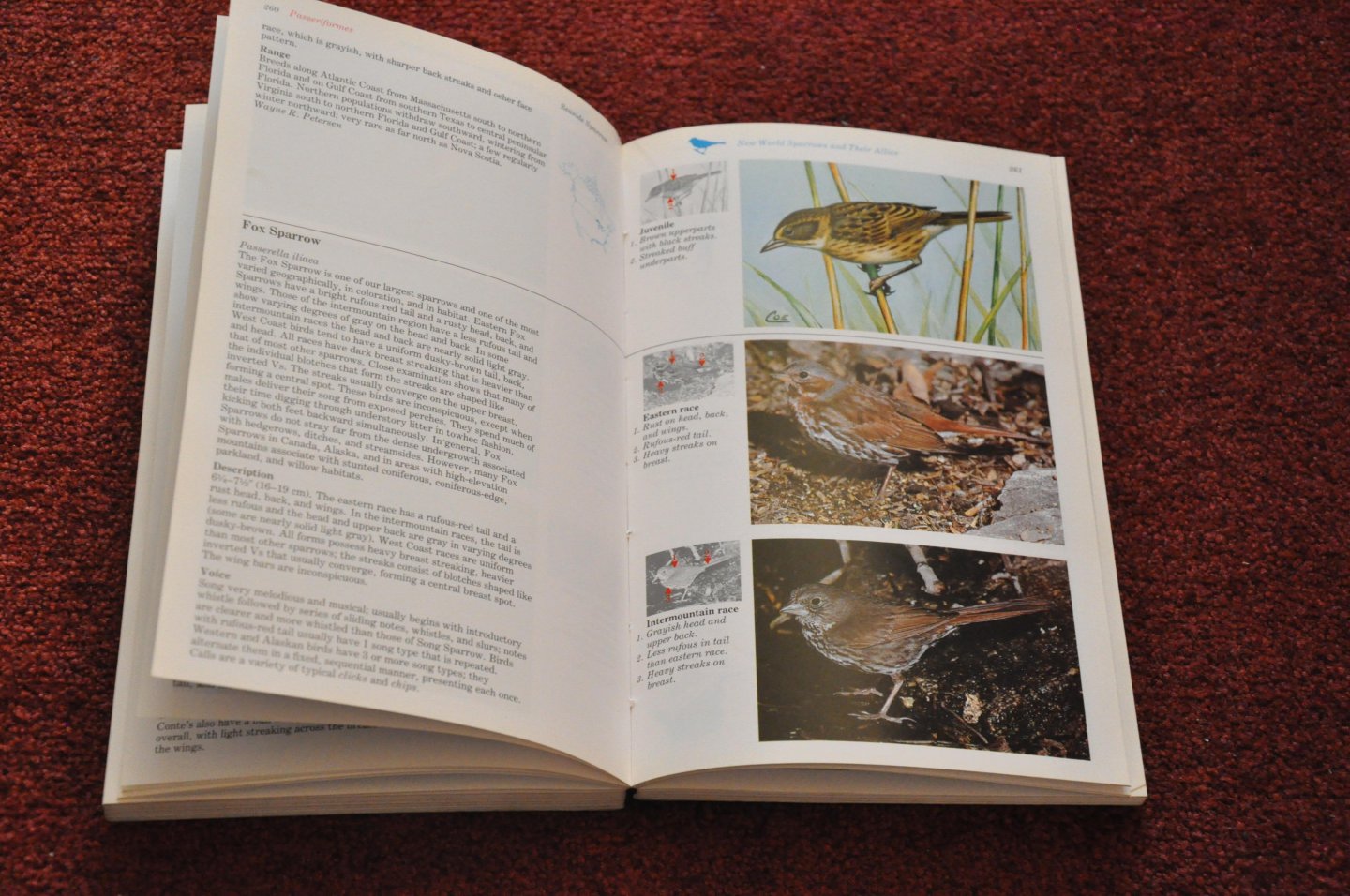 Farrand, John - National Audubon Society Master Guide to Birding. 3 - Old World Warblers to Sparrows