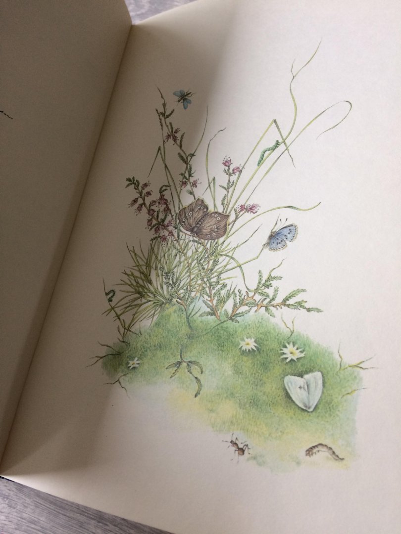 Gezelle - Hoe stille is t