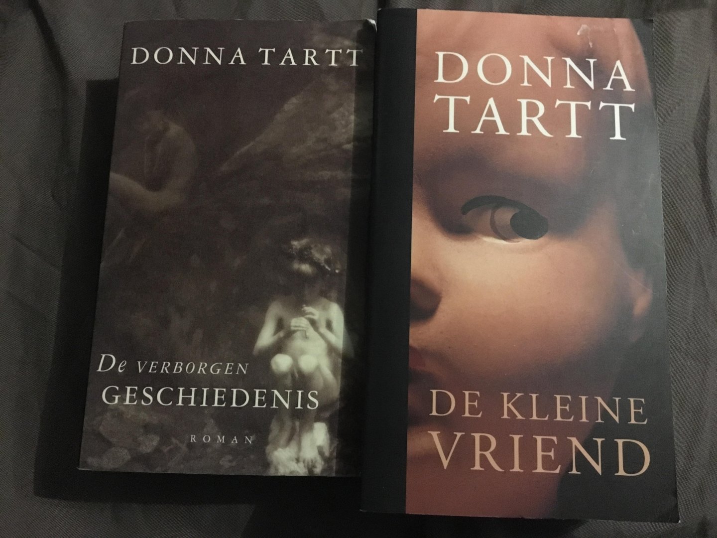 Tartt, D. - Twee delen van Donna Tartt; De kleine vriend en De verborgen geschiedenis