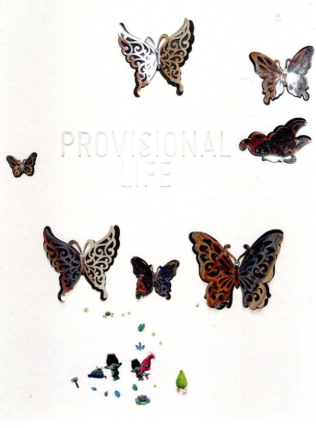 EINARSDOTTIR, Rannveig - Rannveig Einarsdóttir - Provisional Life.