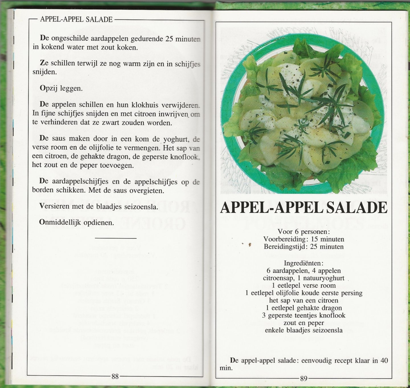 Etienne Cocquyt  Tekst Patrice Dard   Fotos Jean Franqois Amann - Ik kan koken salades