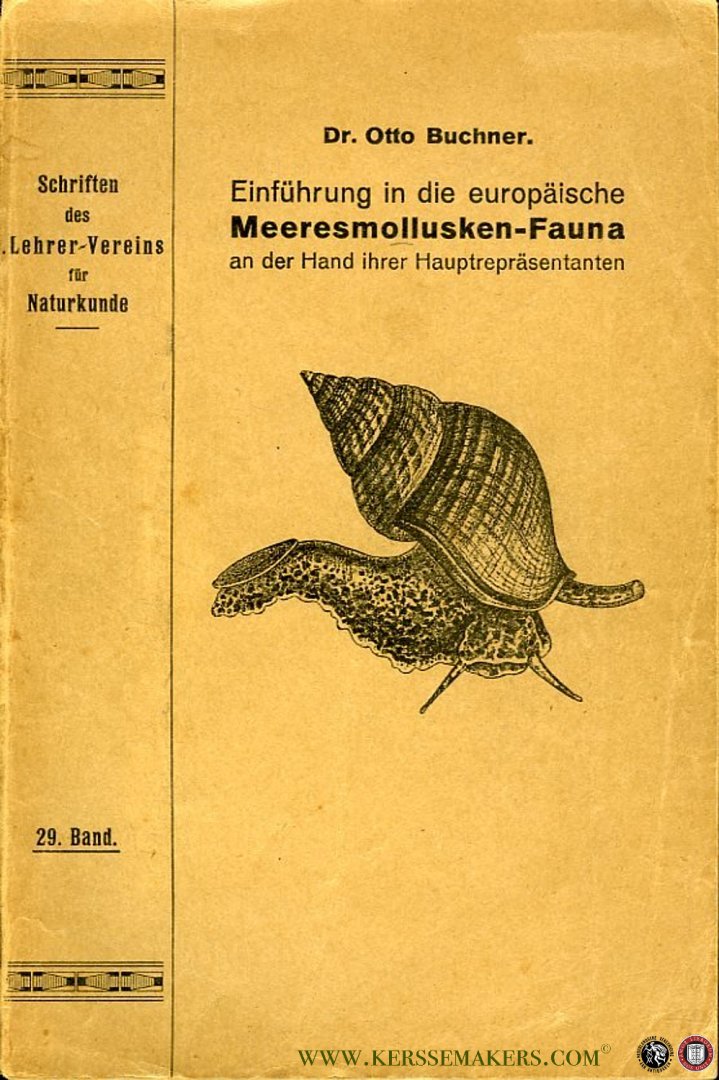 BUCHNER, Otto - Einführung in die europäische Meeresmollusken-Fauna an der hand ihrer Hauptrepräsentanten