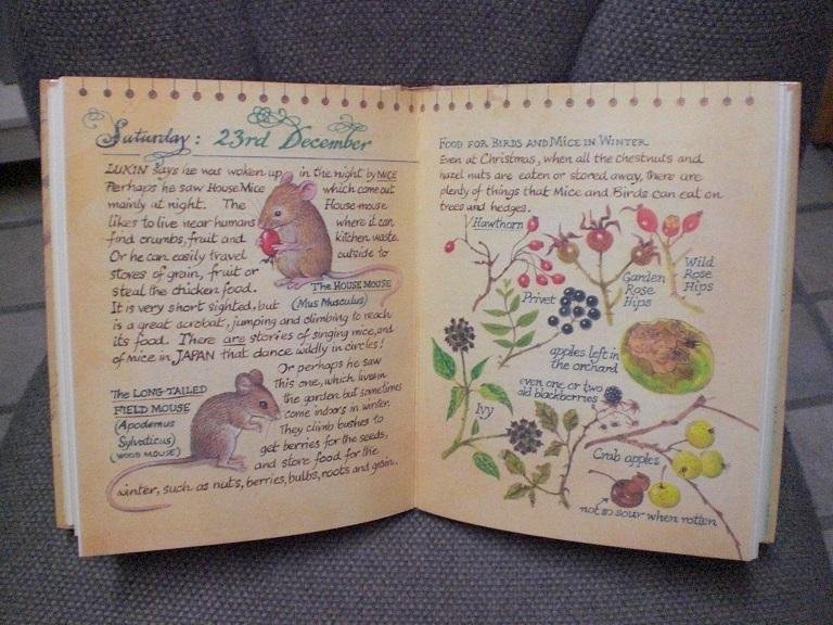 Firmin, Peter - The Winter Diary of a Country Rat