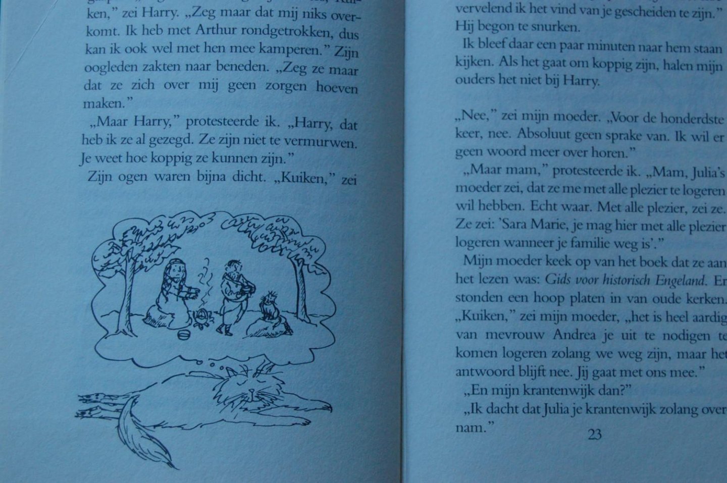 Sheldon, Dyan - Harry gaat op reis