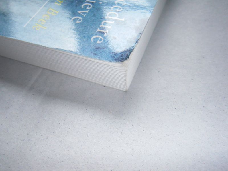 Beek, D.J. van - De delictscenarioprocedure bij seksueel agressieve delinquenten