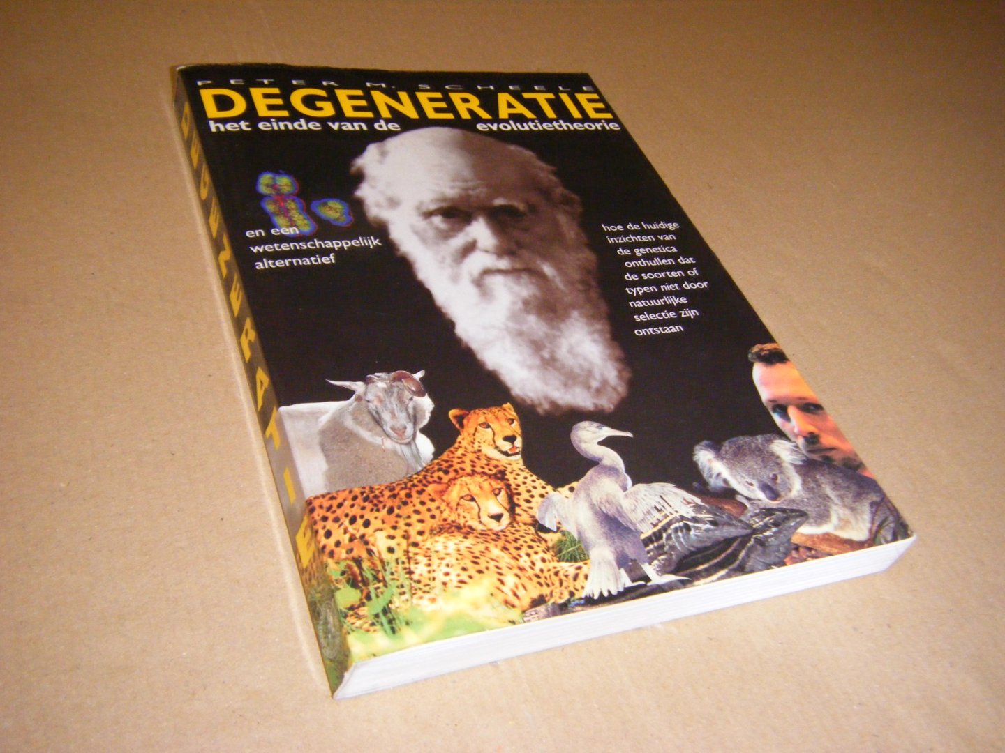 Peter Martin Scheele - Degeneratie. Het einde van de evolutietheorie en een wetenschappelijk alternatief : hoe de huidige inzichten van de genetica onthullen dat de hoofdsoorten of typen niet door natuurlijke selectie zijn ontstaan