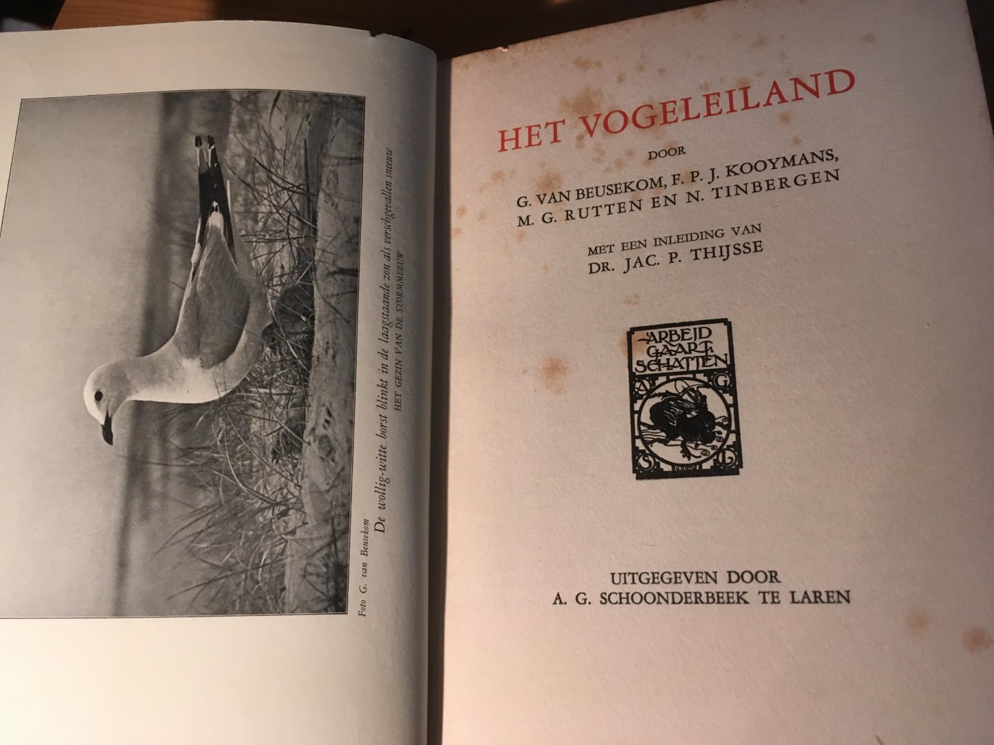 Beusekom, Kooymans, Rutten, N Tinbergen, JP Thijsse (inleiding) - Het Vogeleiland (de Beer)