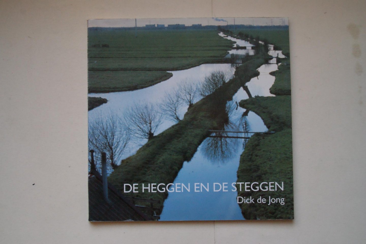 Dick de Jong - 2 boeken samen:  de Heggen en de Steggen straatnamenboek van Hardinxveld-Giessendam   &   het Verhaal Van de Dijk
