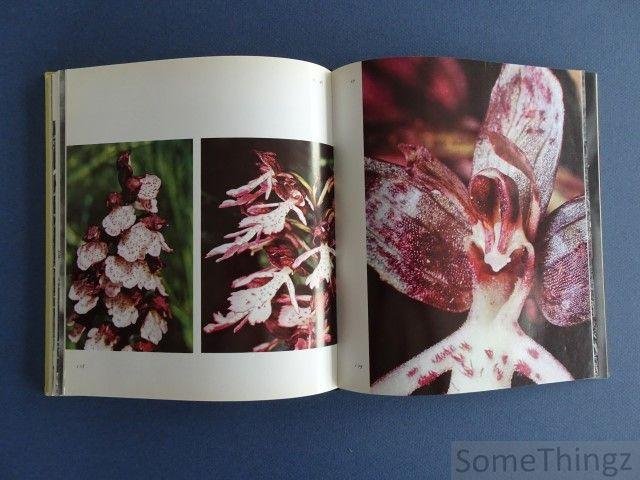 Danesch, Edeltraud et Othmar. - Nos orchidées. Europe occidentale et centrale.