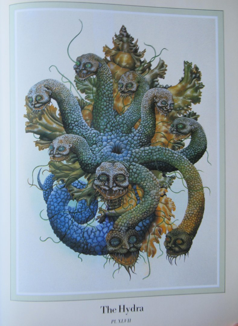 Woodruff, Una - Inventorum Natura