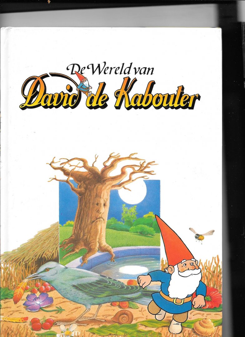 Mensing, Hanny - De wereld van David de kabouter 1