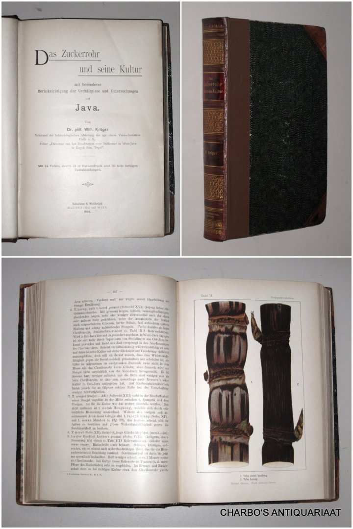 KRÜGER, WILH., - Das Zuckerrohr und seine Kultur; mit besonderer Berücksichtigung der Verhältnisse und Untersuchungen auf Java.