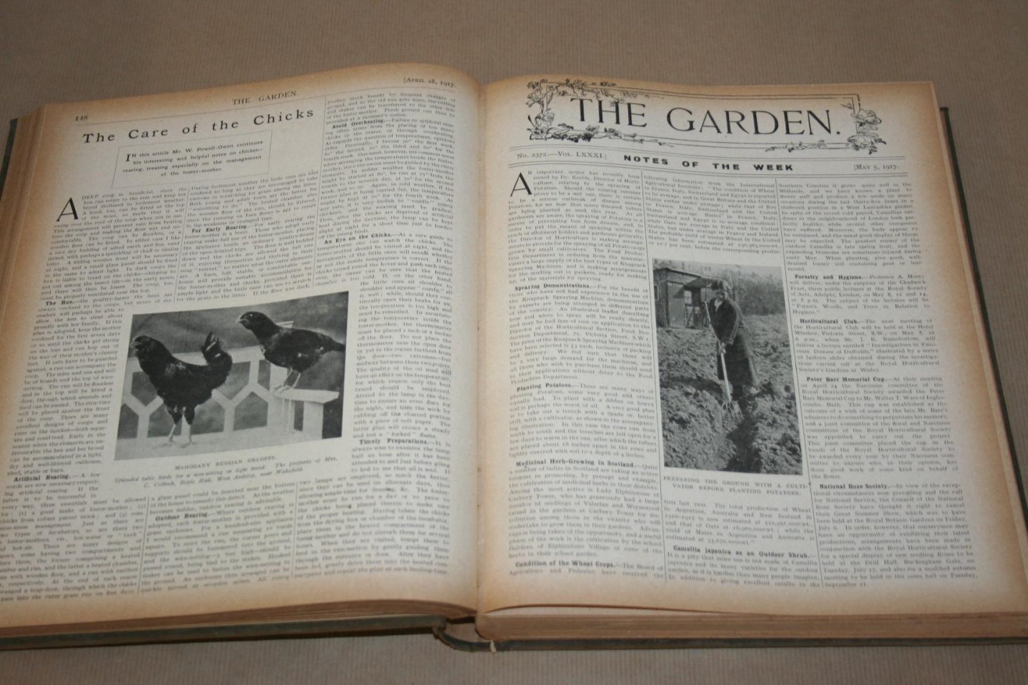 H. Cowley - The Garden - 1917 -- Illustrated Weekly Journal -- Horticulture in all its Branches